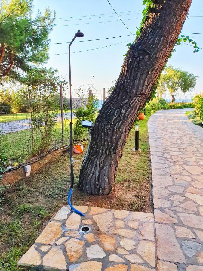 אגיוס יואניס Makis&Fani Homes מראה חיצוני תמונה
